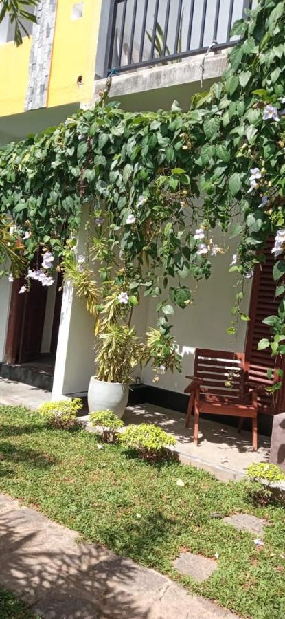 Bed and Breakfast Mandara Rest Hikkaduwa Exteriér fotografie